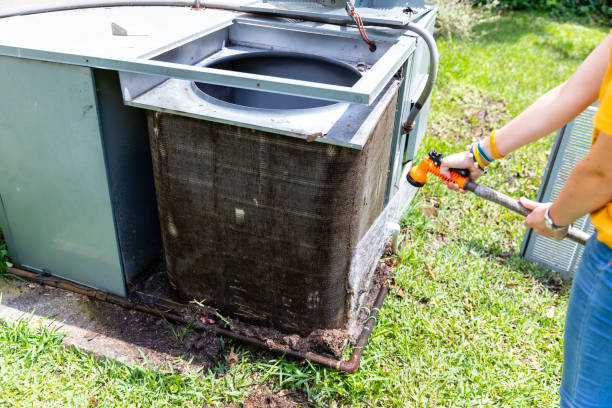 Air Duct Mold Removal in Halfway, MD