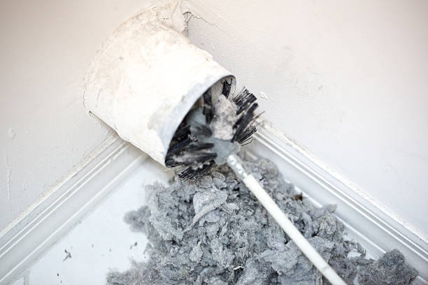 Best Local Air Duct Cleaning Services  in Halfway, MD